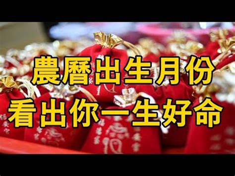 免費出生年月日配對|生辰八字配對，免費八字配對測試